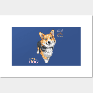 Вog Pembroke Welsh corgi Posters and Art